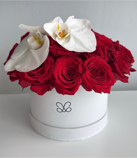 Velvet Box